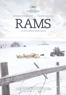 Icelandic film RAMS wins top prize in Un Certain Regard