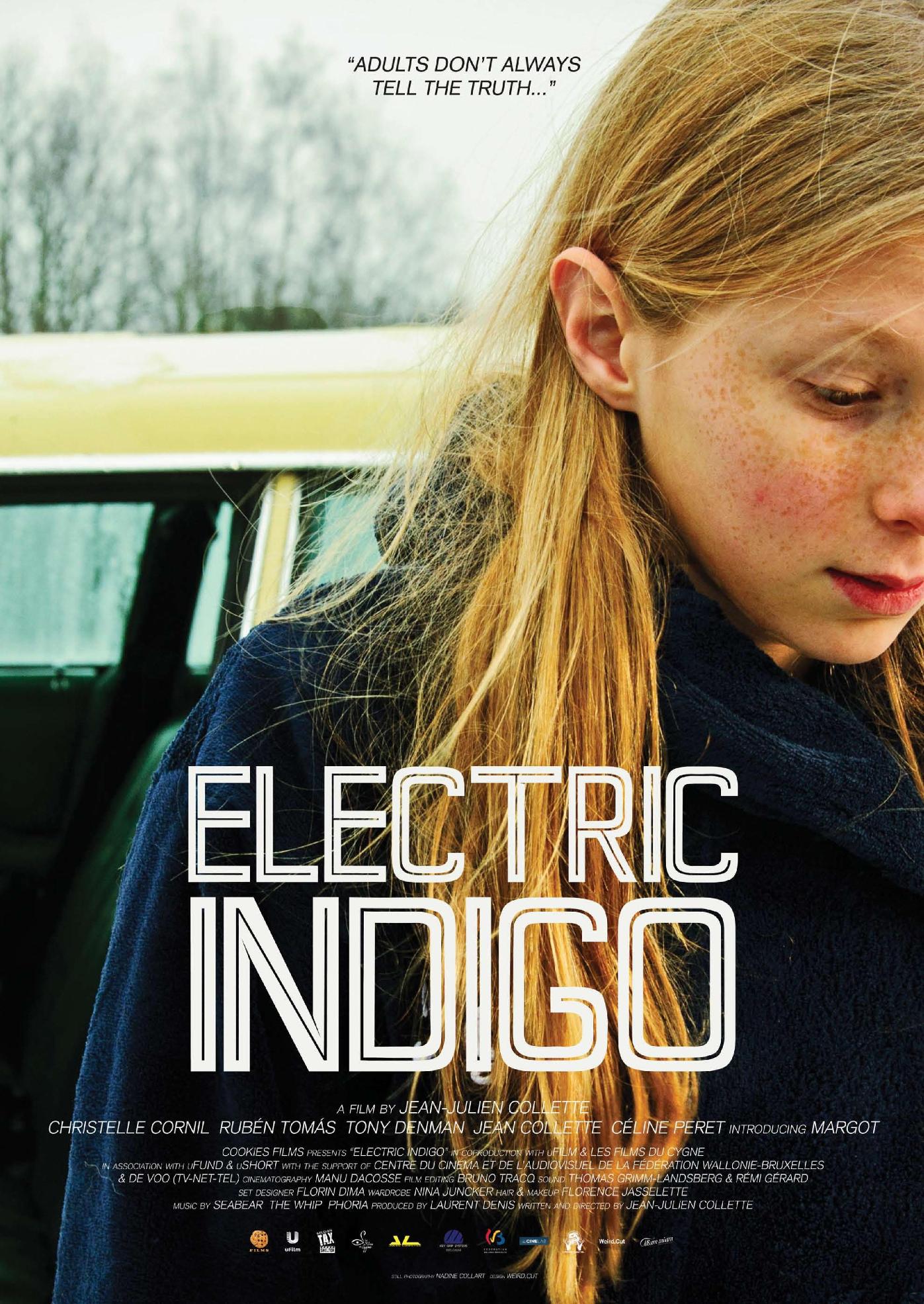 Electric Indigo Poster