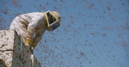 Interview with “The Pollinators” (2019) Director Peter Nelson @ SIFF