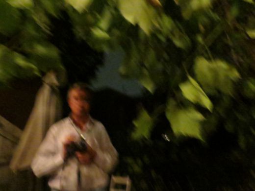 Shadow of editor Bruno Chatelin  in the garden of grapes party