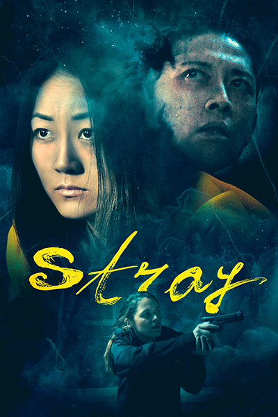 Art-Stray_2x3-VODSMALL.jpg